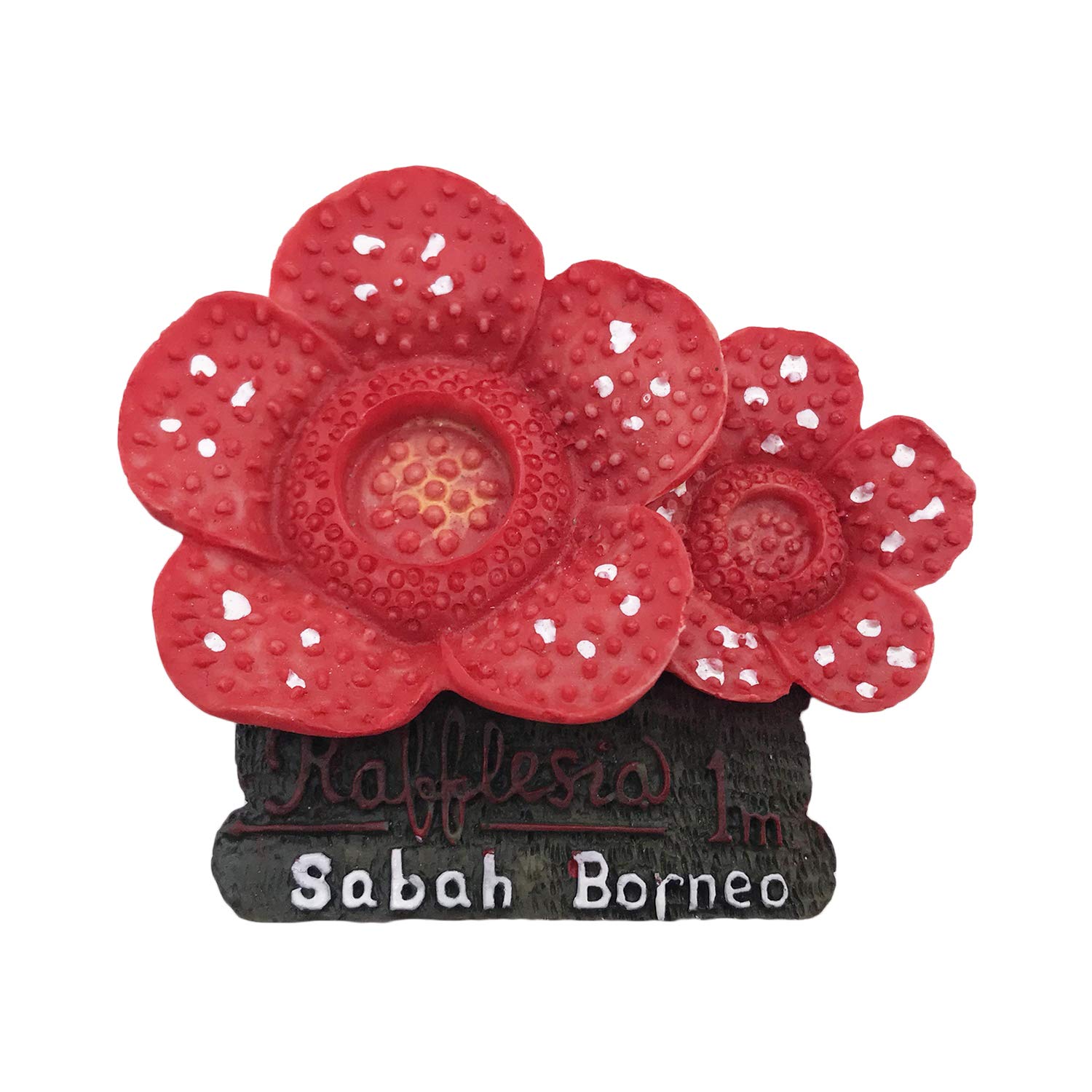 Wedarego Sabah Borneo Malaysia Rafflesia Sabah Borneo Malaysia 3D Rafflesia Refrigerator Magnet Tourist Travel Souvenirs Handmade Resin Craft Magnetic Stickers Home Kitchen Decoration Fridge Magnet Collection Gift