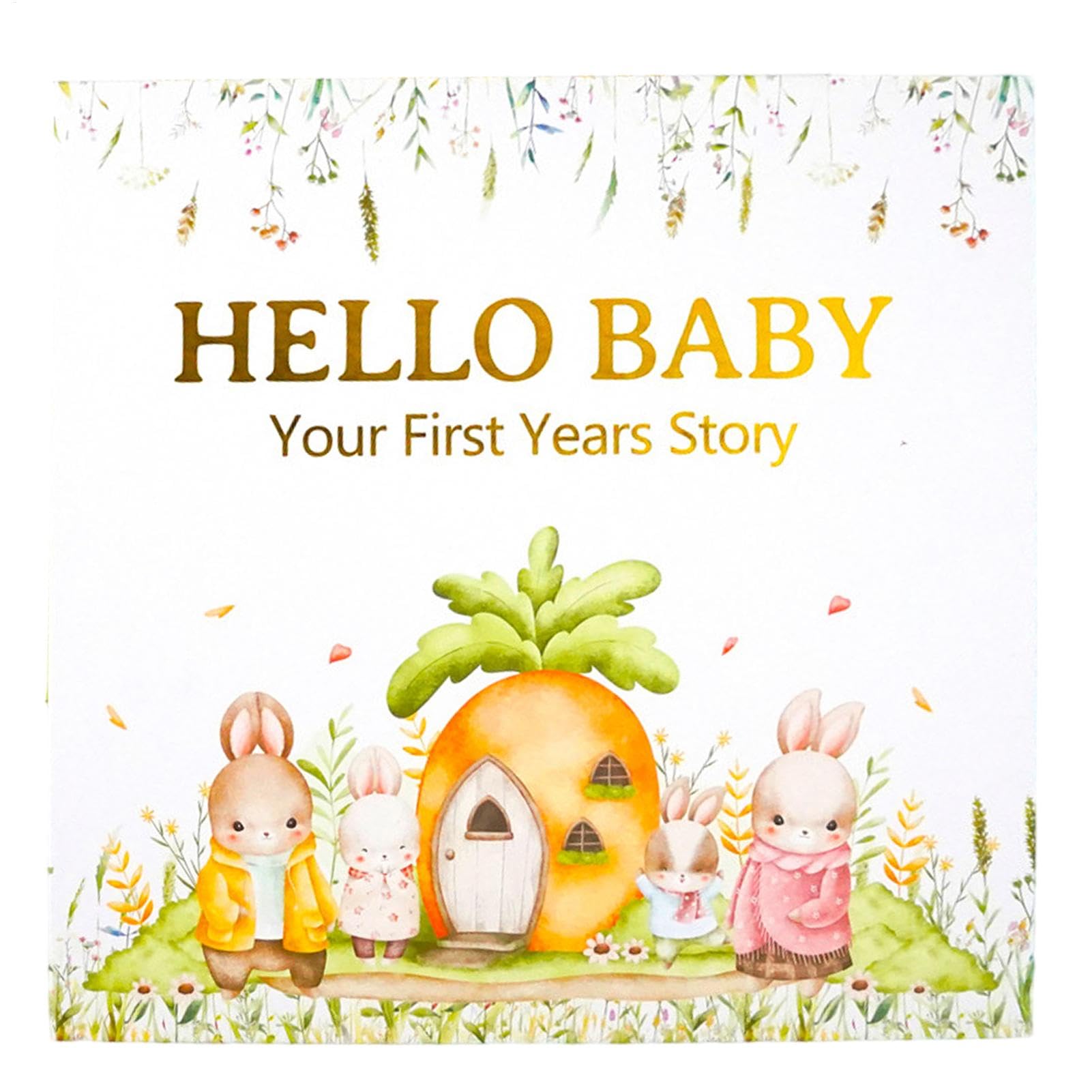 Livre souvenir pour bébé pour ne plus oublier aucun moment fort de sa naissance