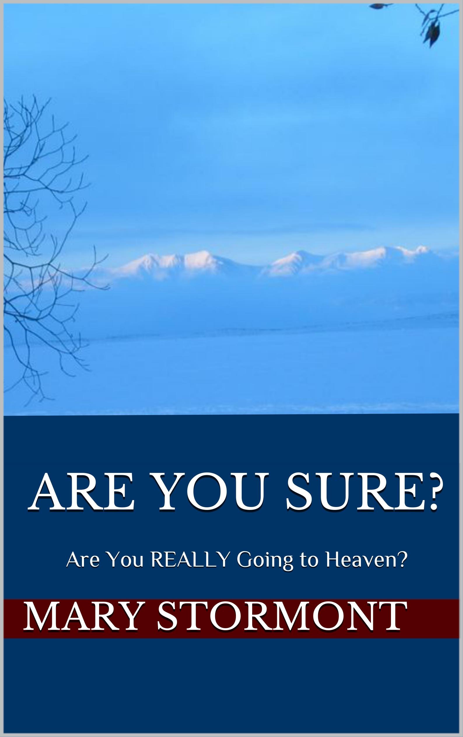Are You Sure?: Are You REALLY Going to Heaven?