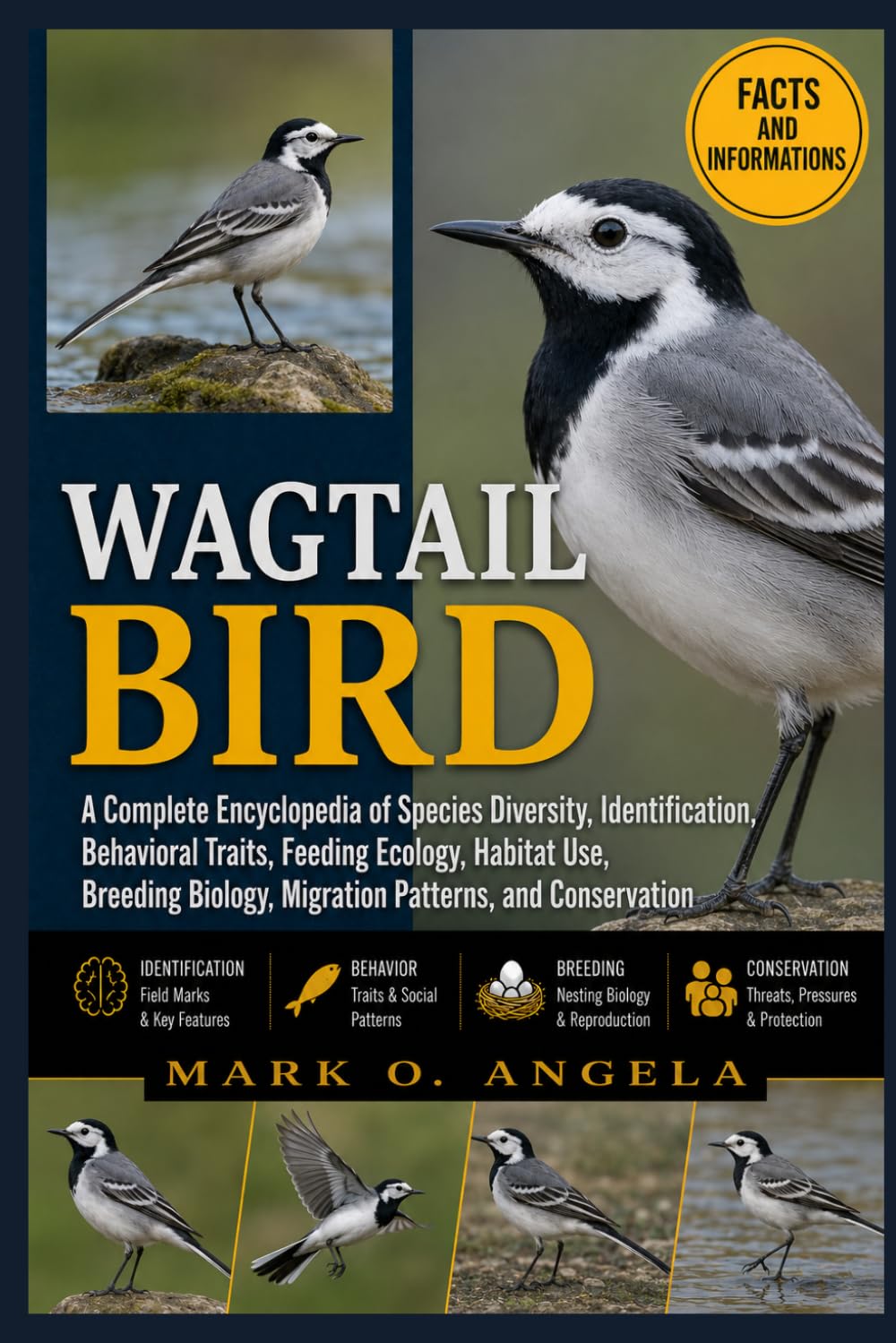 WAGTAIL BIRD: A Complete Encyclopedia of Species Diversity, Identification, Behavioral Traits, Feeding Ecology, Habitat Use, Breeding Biology, Migration Patterns, and Conservation