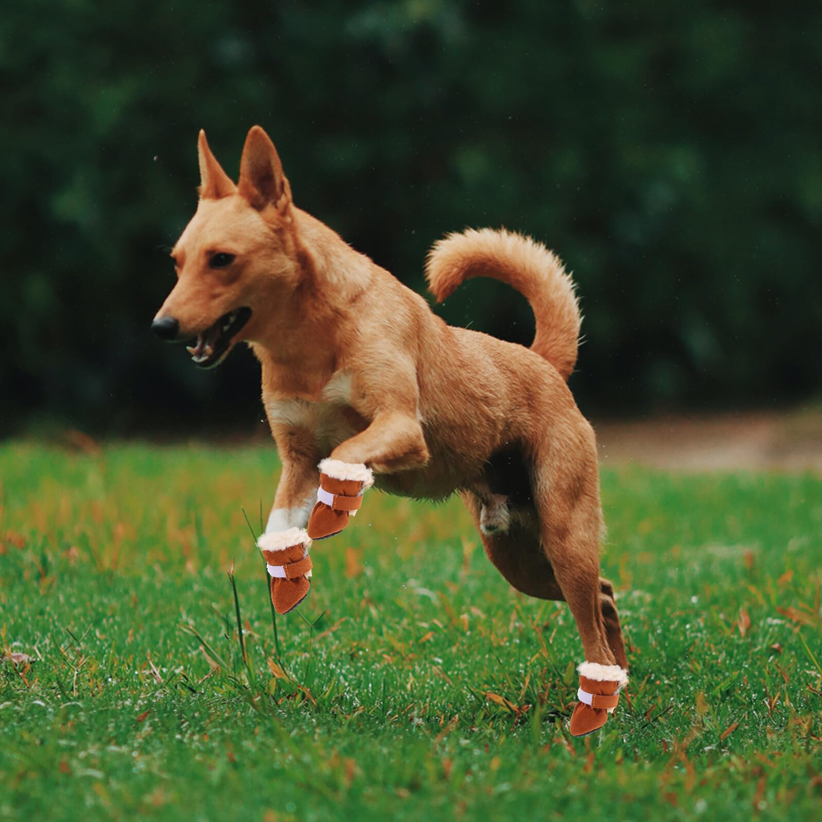ibasenice 4pièces Neige pour Chien Chaussures pour Animaux de Compagnie Chaudes pour Chiens Moyens et Petits