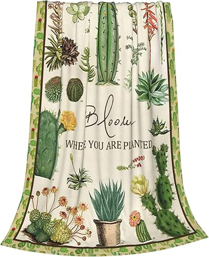 Miniatura 3 de Manta decorativa de cactus, manta decorativa de cactus, suave y acogedora manta de franela de felpa cálida, decoración de cactus, regalos para