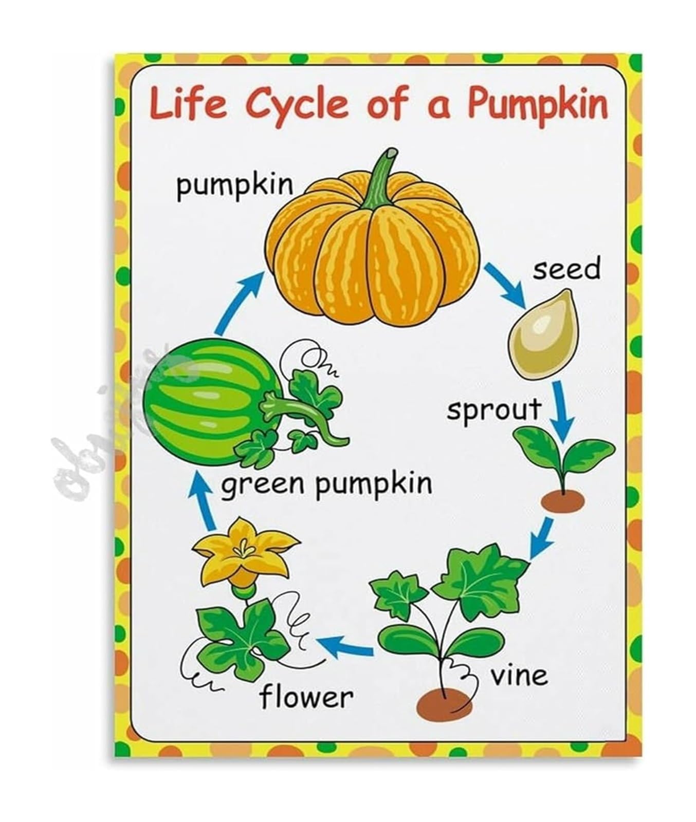 NWPNLXEA Pumpkin Plant Growth Cycle Biology Science Educational Poster Canvas Wall-Art for Classroom Decor Unframed,08x12inch(20x30cm)