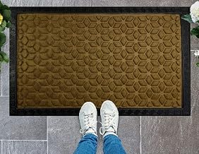 Doormat for Home Entrance, Antiskid Floormat for Bathroom Kitchen, Thick Indoor Outdoor Mat with Rubber Backing, Footmat, Shower Mat, 60 x 40 cm, Brown