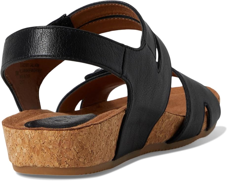 EuroSoft Gallatin - Back View