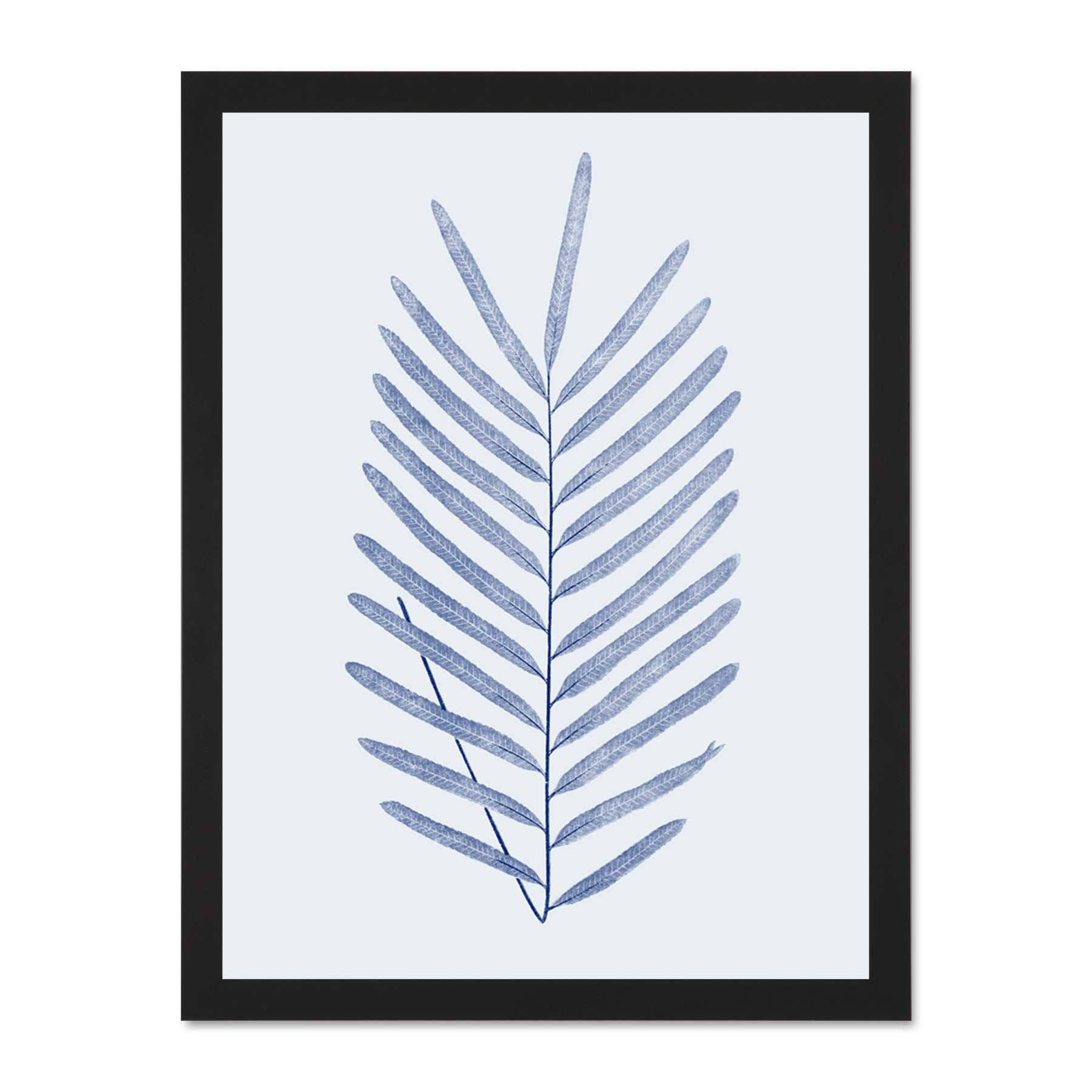 Wee Blue Coo Botanics Cobalt Fern Diversifolium Large Black Framed Art Print Wall Poster 18x24 inch