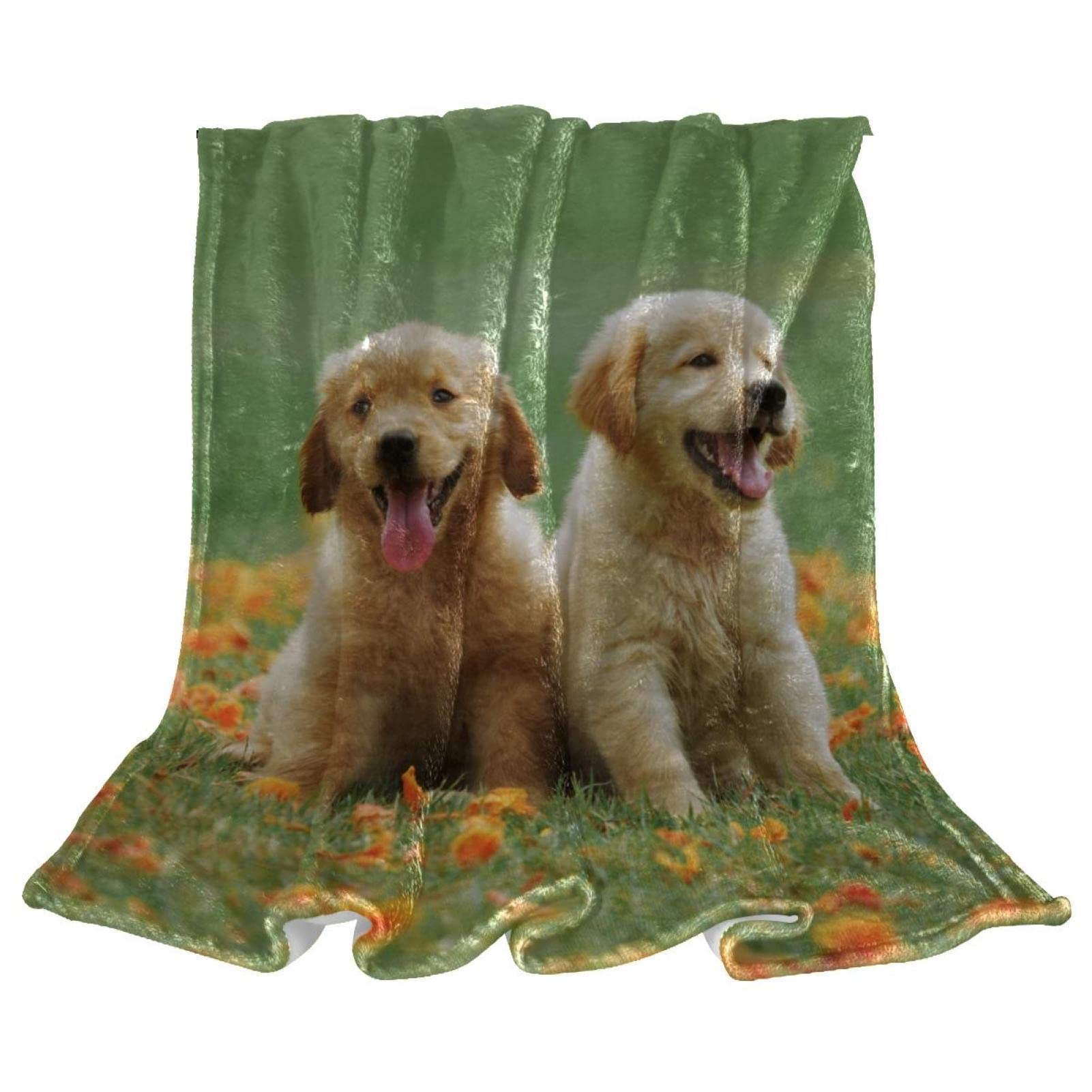 Couvertures en microfibre anti-froid lit et canapé motif Golden Retriever