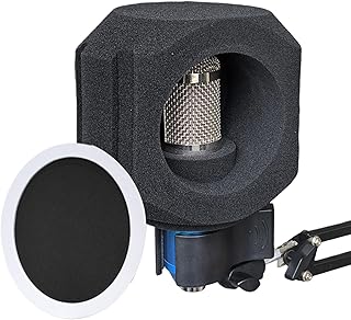 WJnflQN Mikrofon-Isolationsball | Schallabsorbierende Abdeckung mit Filter – tragbare schalldichte Abdeckung für Podcast-Singen, Raps, Heimstudio, Live-Auftritt