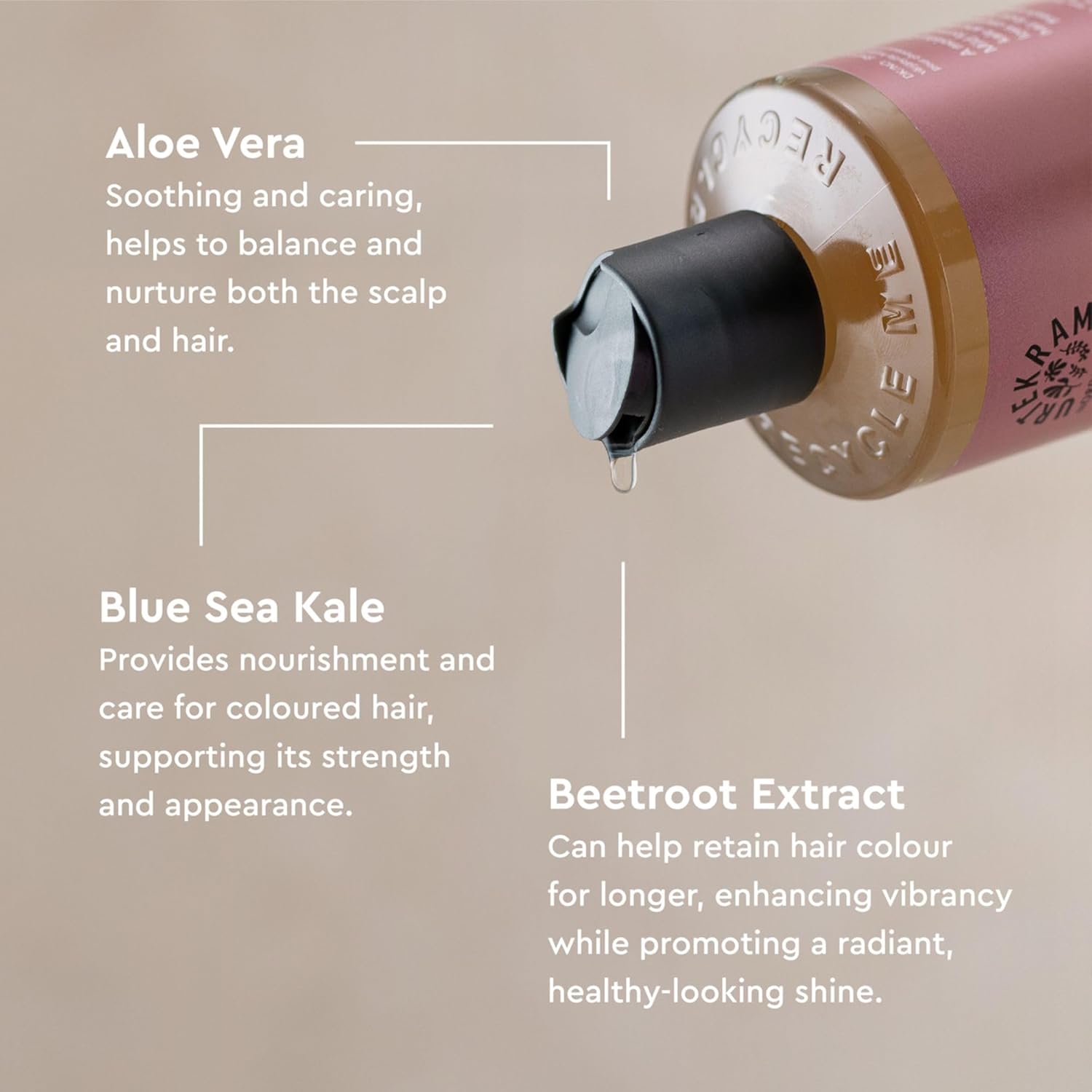 Urtekram Shampoo - Colour Preserve - Wild Rose - 250 ml, Vegan, Organic, Natural Origin