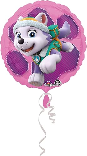 Miniatura 3 de Globo de Paw Patrol Skye y Everest de 18 pulgadas (cada uno)