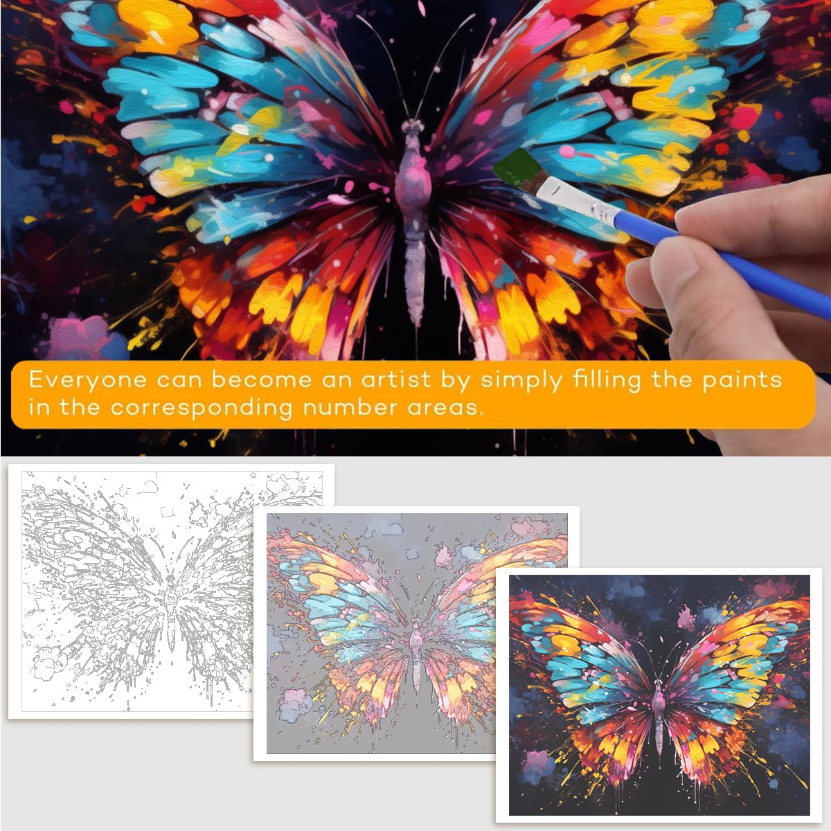 Confezione da 4 pittura con i numeri, per adulti, principianti, libellule