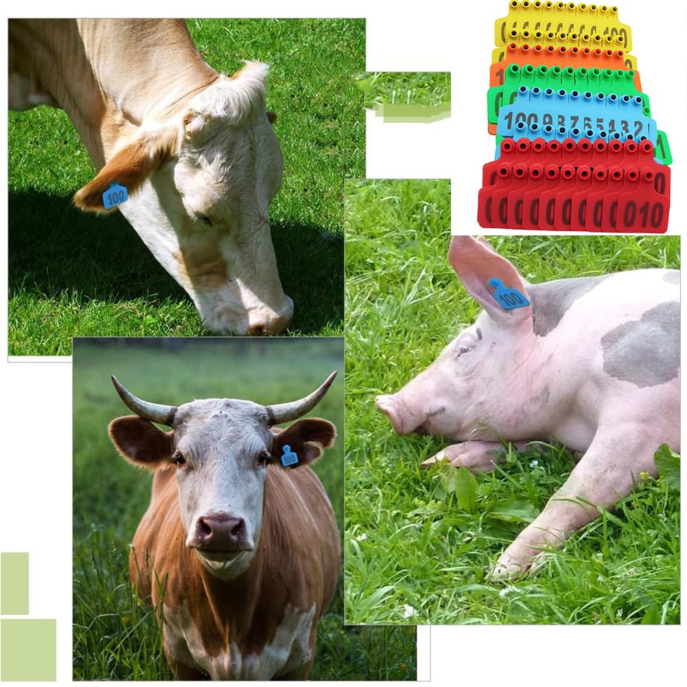 Kolczyki do uszu dla zwierząt hodowlanych, Plastikowe kolczyki dla bydła wielokolorowe 2,95 x,36 cala 001-1000 100 sztuk(Pink,501-600)