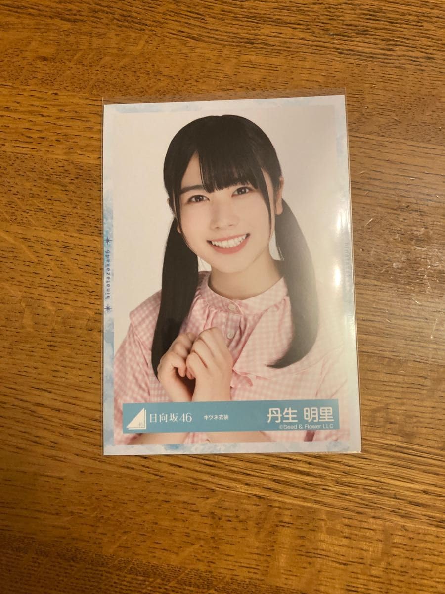 欅坂46 乃木坂46 生写真 欅坂46乃木坂46封入生写真