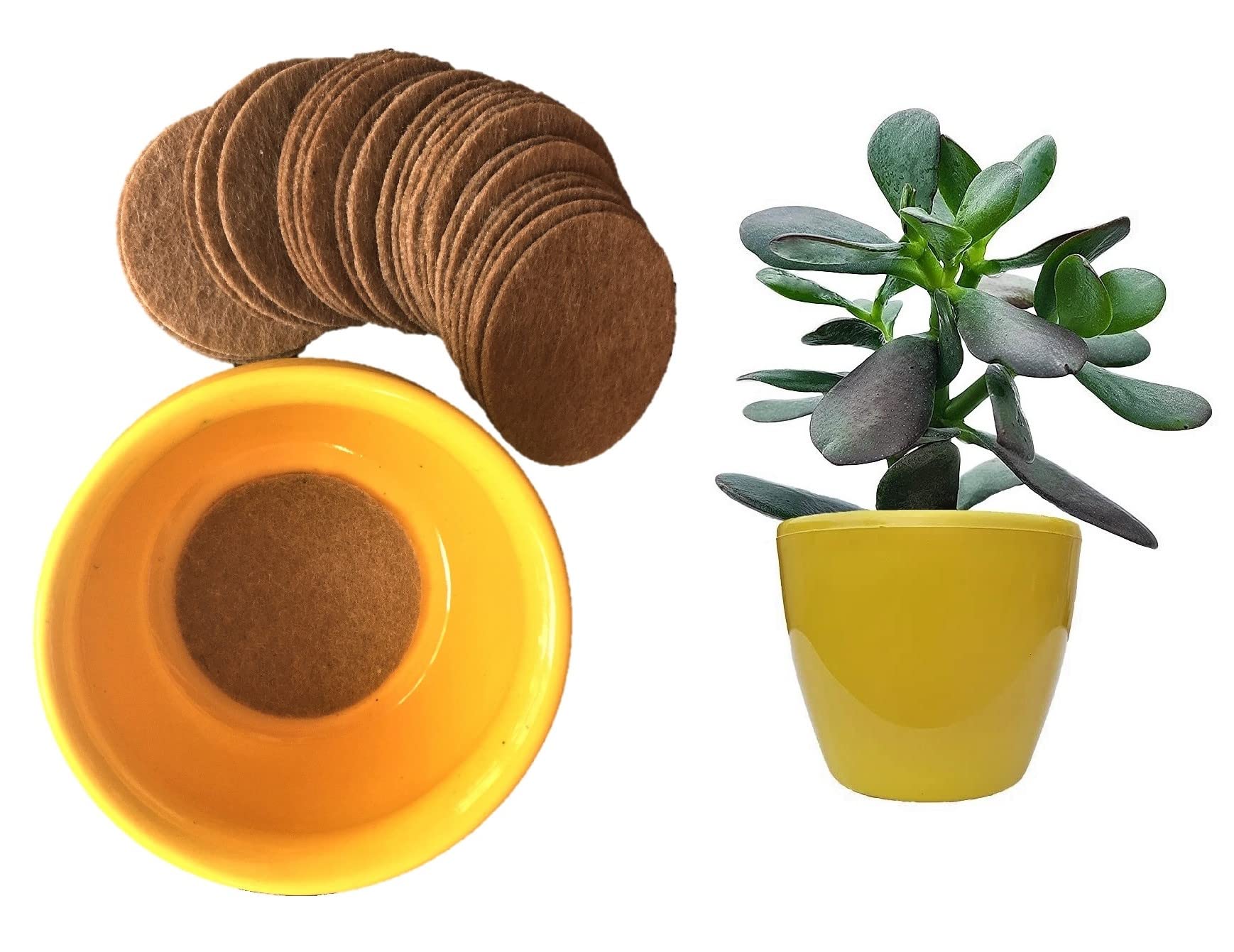 OXYPOT® Drain Smart Flower Plant Pot Drain Hole Mesh Pad (Pack of 25 Pads) 2.25 Inch Round Drainage Hole Screens Prevent Soil Loss. Must Have for Bonsai Pot, Succulent & Table Top Planters. (B0BWXYF84L) Amazon Price History, Amazon Price Tracker