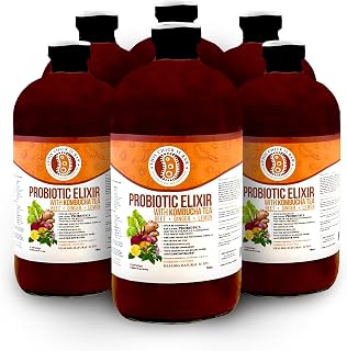 This Chick Is Raw Probiotic Elixir – A Bold Fusion of Fermented Beets, Ginger, Lemon & Kombucha Tea – Vibrant Flavor with a Naturally Tangy Kick (Full Case)