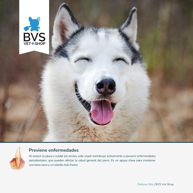 Foto 5 de 8 de BVS Vet Shop