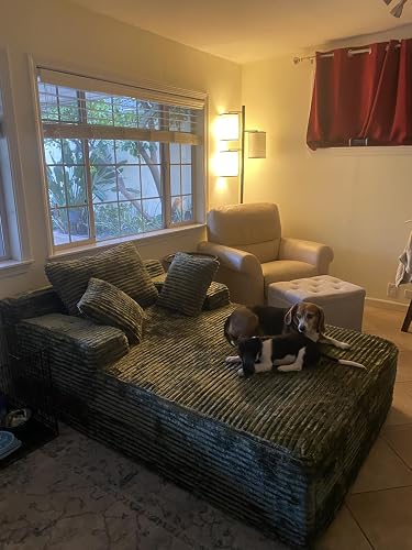 Review Image by Designingonabudget