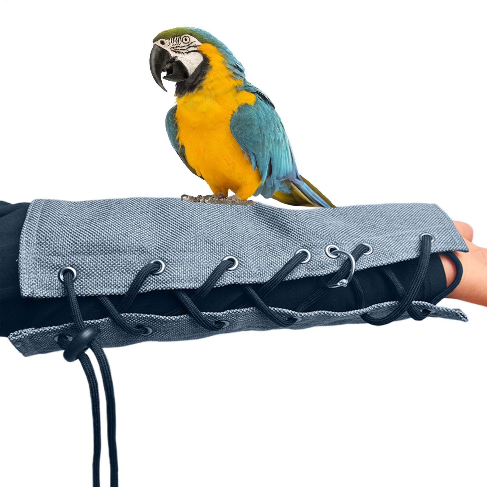 Parrot Anti-Scratch Arm Protector - Waterproof Bite-Proof Arm Guard - Parrot Training Arm Protector for Small Medium Cockatiel Parakeet Macaw Lovebirds Finches