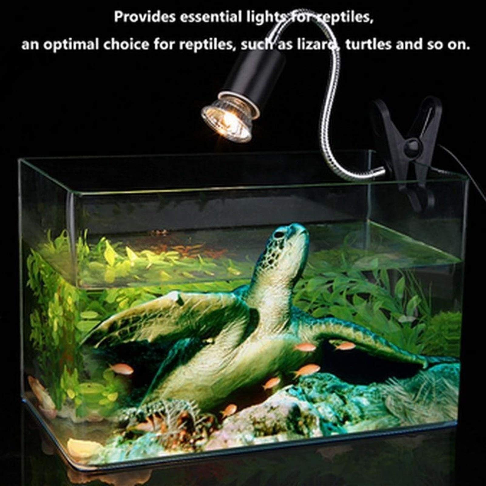 Riscaldatore per animali domestici UVA + UVB Kit 3.0 Reptile Lampada con Clip-on in ceramica titolare della tartaruga della luce UV Basking riscaldamento della lampada Set tartarughe Lizard Lighting