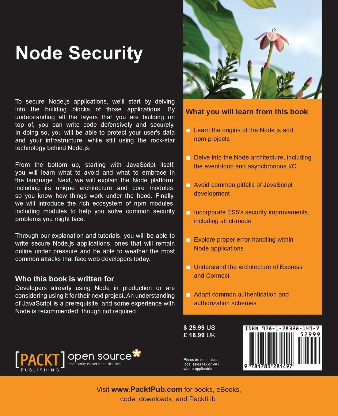 Node Security (English Edition): Take a Deep Dive into the World of Securing Your Node Applications With Node Security