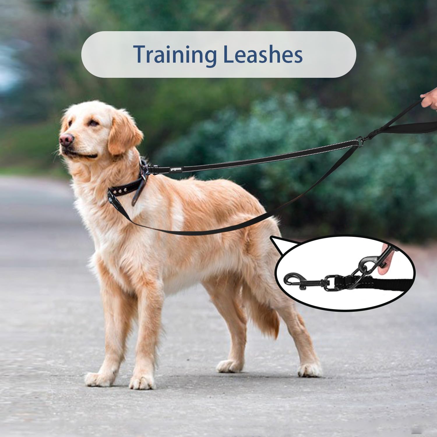 Two Point Control Dog Leash, Double Ended Lead for Dogs Nylon Single Lead - Image 3