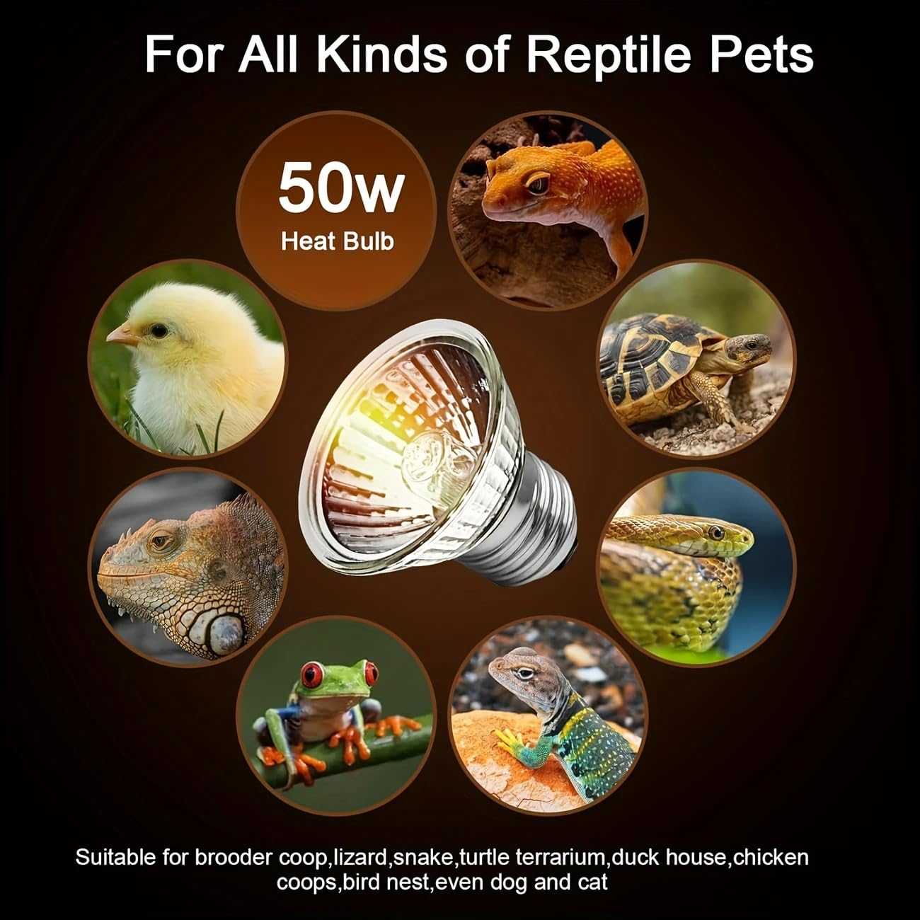 VAYINATO® 50 Watts Reptile Turtle Basking light turtle uvb uva heat lamp bulb turtle heat basking halogen bulb by Petzlifeworld 4