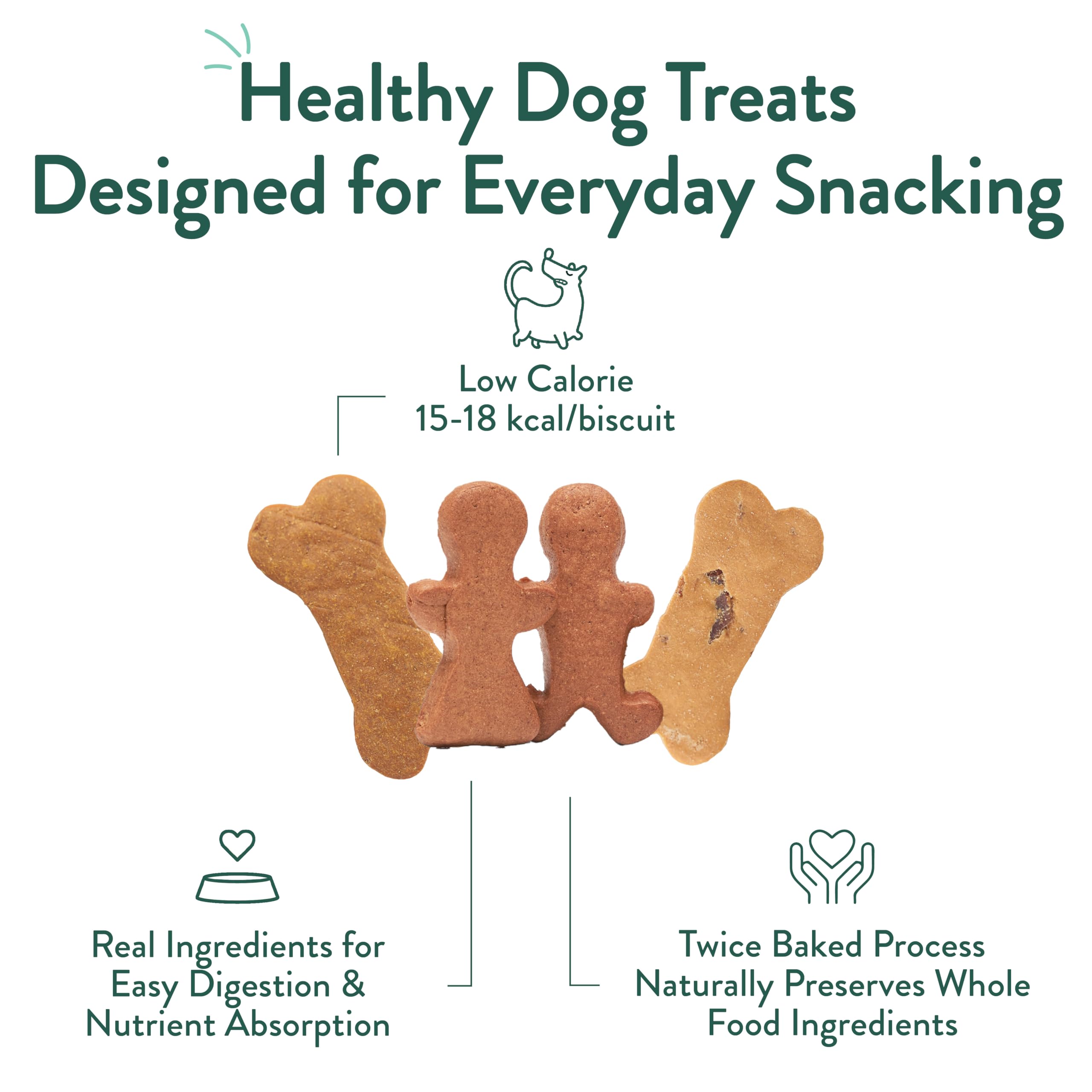 CRAFTED BY HUMANS LOVED BY DOGS - Dolcetti sani per cani di Portland Pet Food Company, confezione assortita di 3, senza cereali, di grado umano, di Pan di zenzero