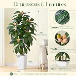 Arbre à loquat artificiel : 5FT Fausse plante de fruits tropicaux Réaliste Faux Arbre Plantes de sol en soie avec des fruits ressemblant à la vie & Pot pour la décoration intérieure intérieur Chambre extérieure Bureau Patio Balcon (Blanc)