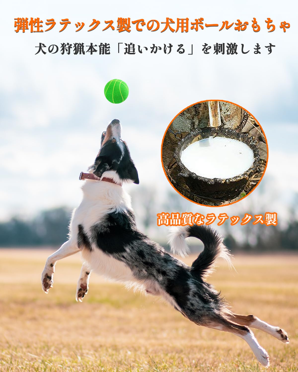 Amazon | SCHITEC 犬 おもちゃ ボール 音の出る 【8個セット 直径7cm
