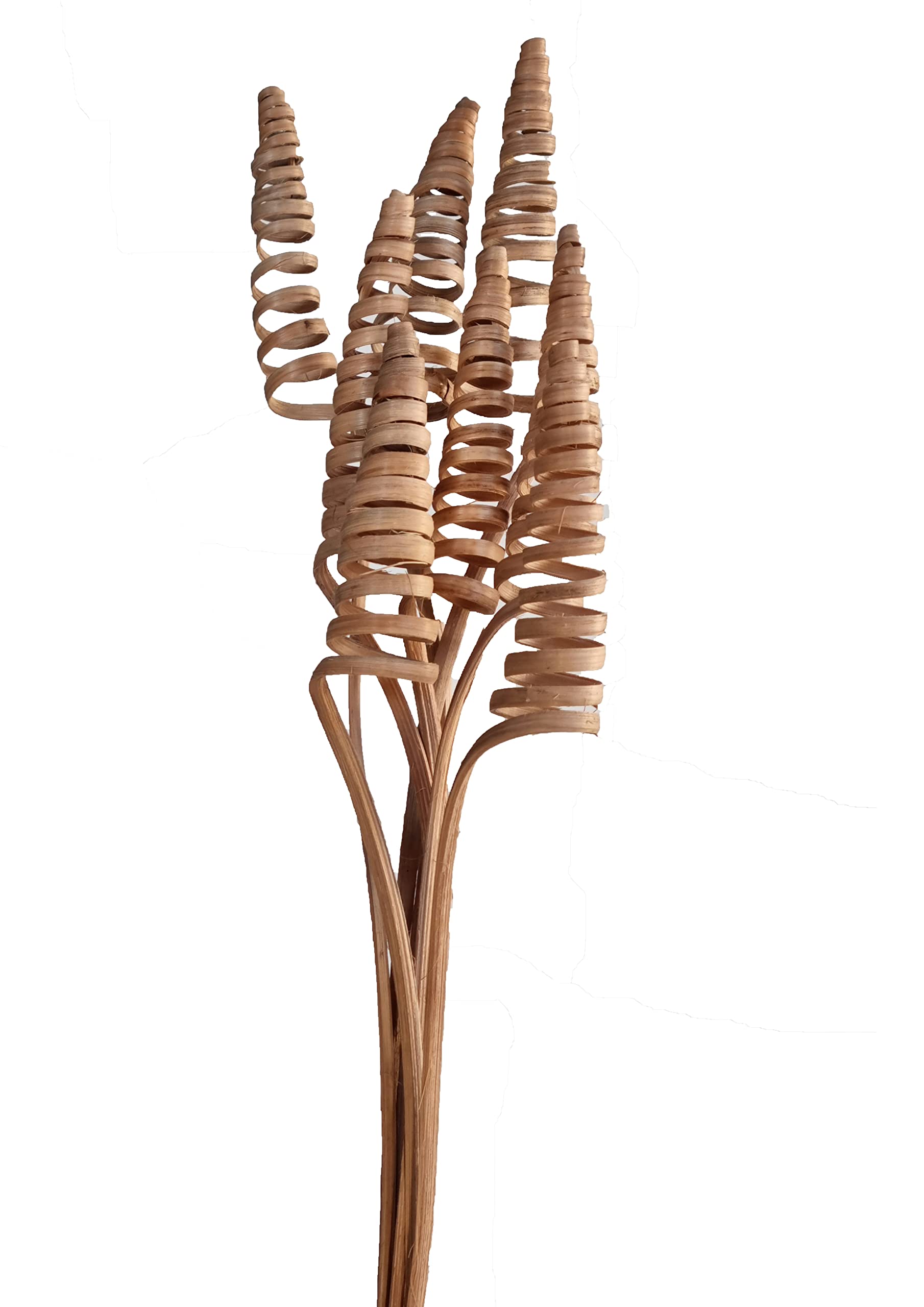 Homestreet Cane Cone Exotic Wooden Flower Bunch In Natural Brown 7 Stems 60cm