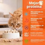 Ver la foto 5
