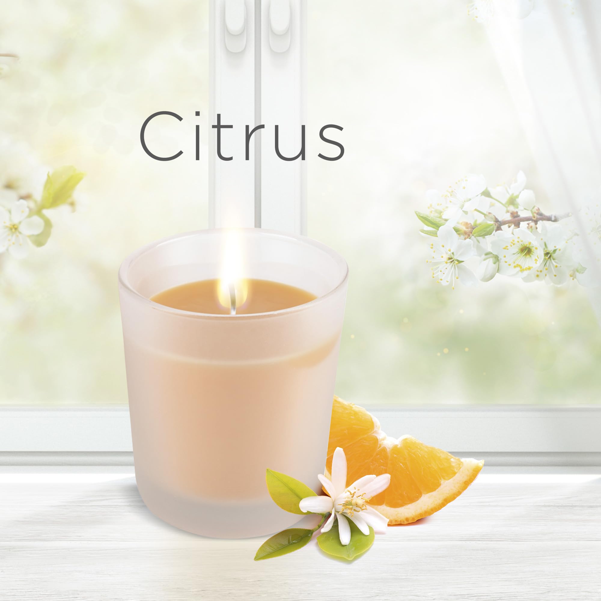 Air Wick Wohlfühl-Duftkerze im Glas – Duft: Citrus – Enthält natürliche ätherische Öle – 6 x 105 g Duftkerzenset