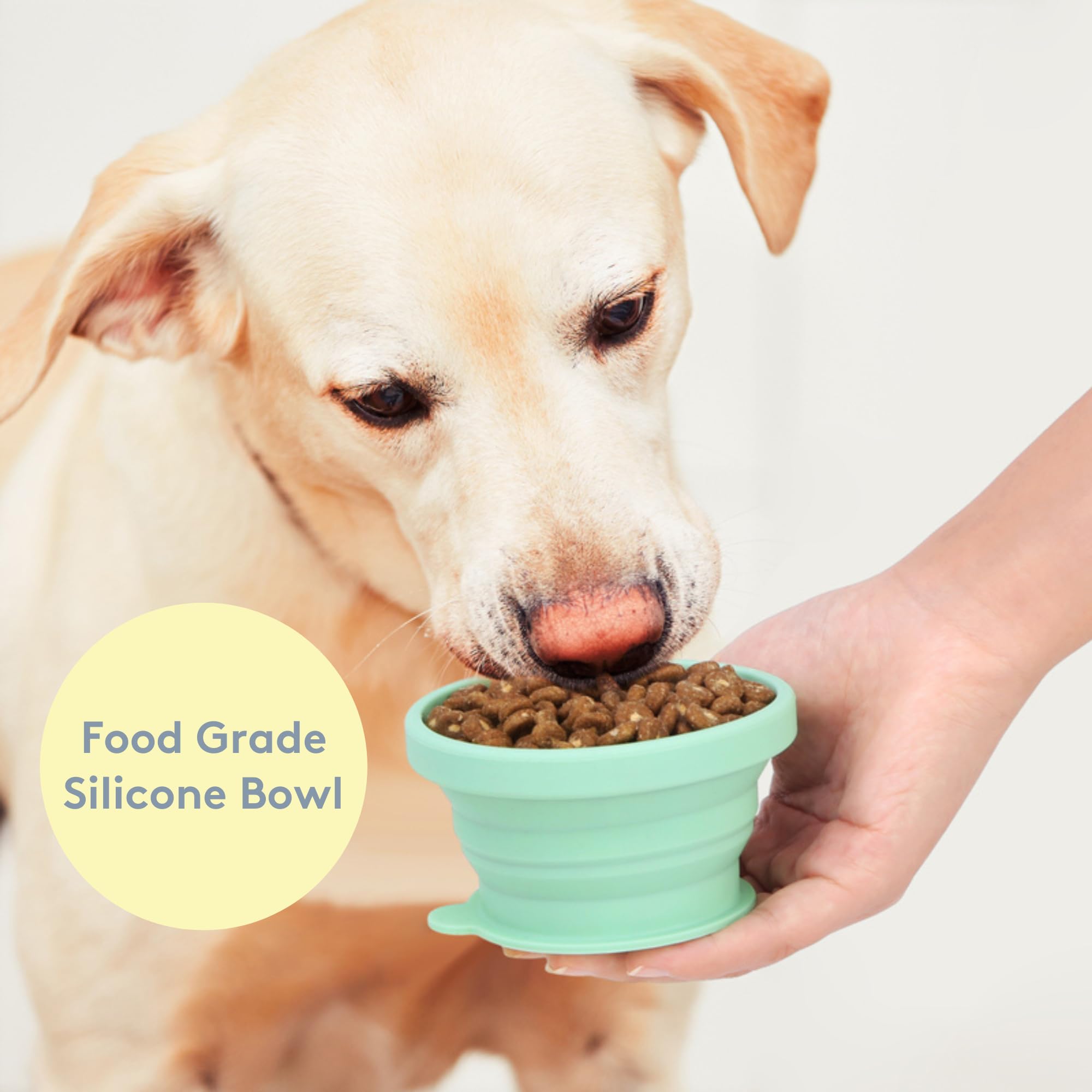 Sweet Paws Travel Hero Récipient portable 3 en 1 pour nourriture pour animaux de compagnie, bol d'eau en silicone et distributeur de sacs à déjections canines en un, rose pâle