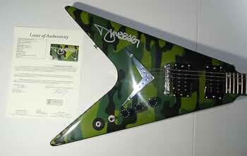Signed Panter Dimebag Darrell Abbott Autographed Washburn Guitar
