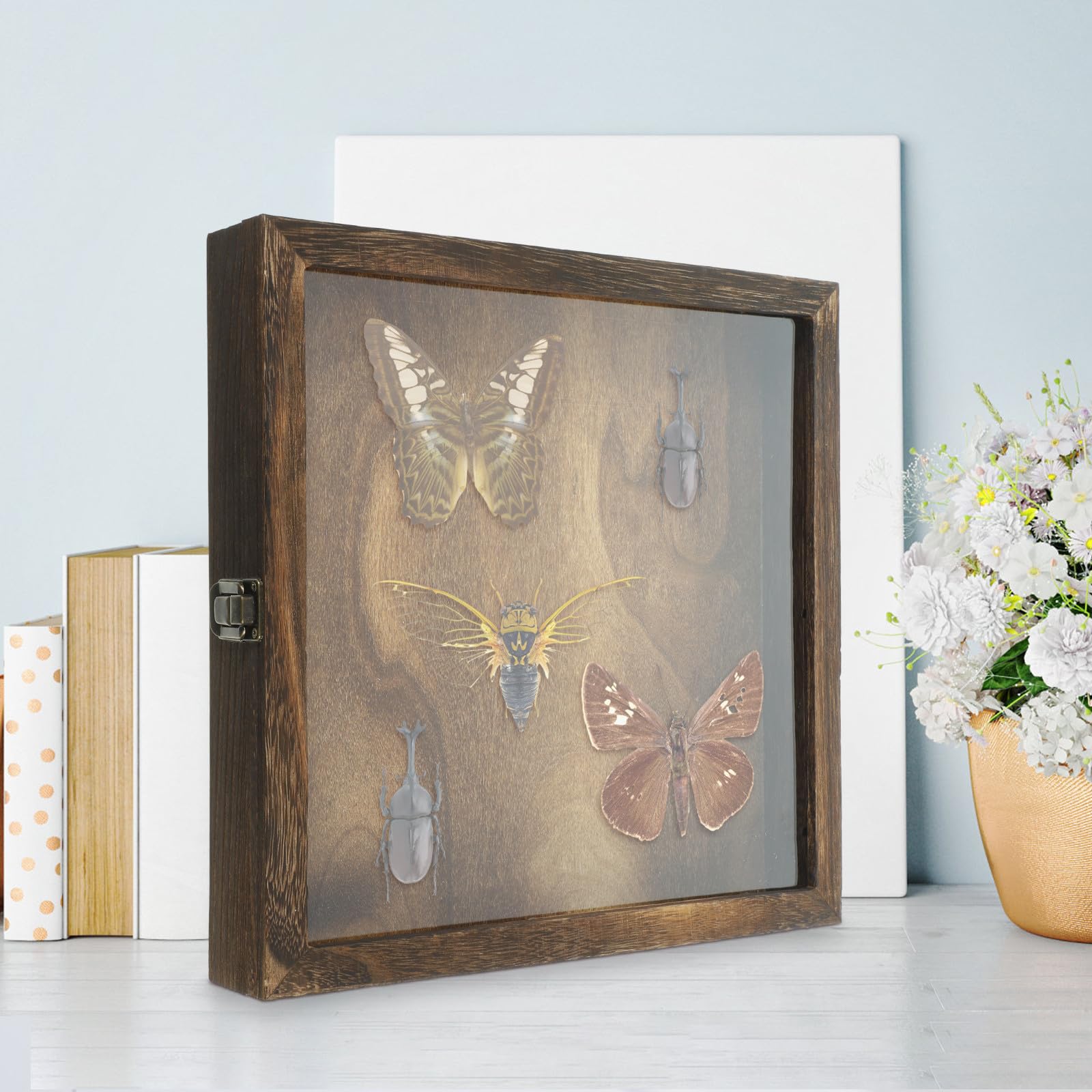 Gatuida Caja de Exhibición de Insectos de Madera Acrílica Portátil Estilo Retro y Tapa Plegable para Colgar en Pared y Almacenar Objetos Estilo