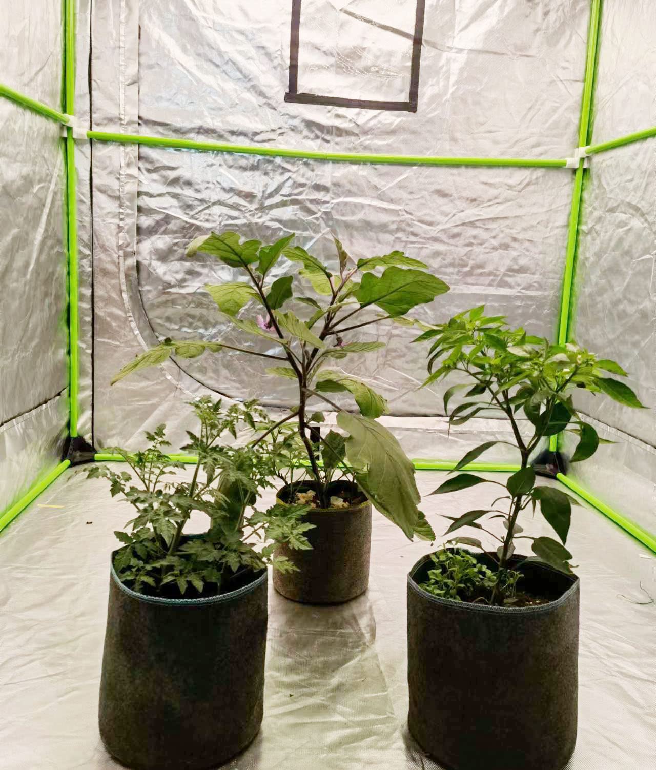 HORTIPOTS Doniczki materiałowe 15 l Non So Floppy Air Pruning Smart Grow, worki do uprawy, czarno-szare (opakowanie 10 szt.)