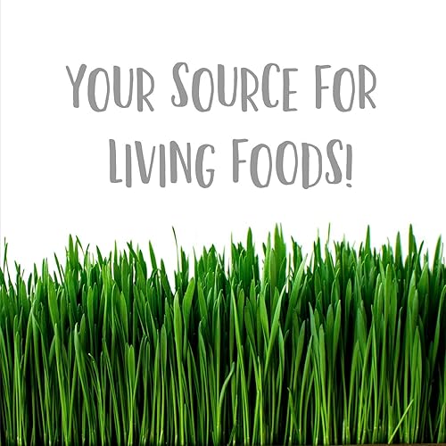 Miniatura 6 de Pro Micro Jute Microgreens - Rollo de tapete de cultivo  10 pulgadas de ancho por 100 pies de largo  1 rollo  Almohadilla de cultivo hidropónica