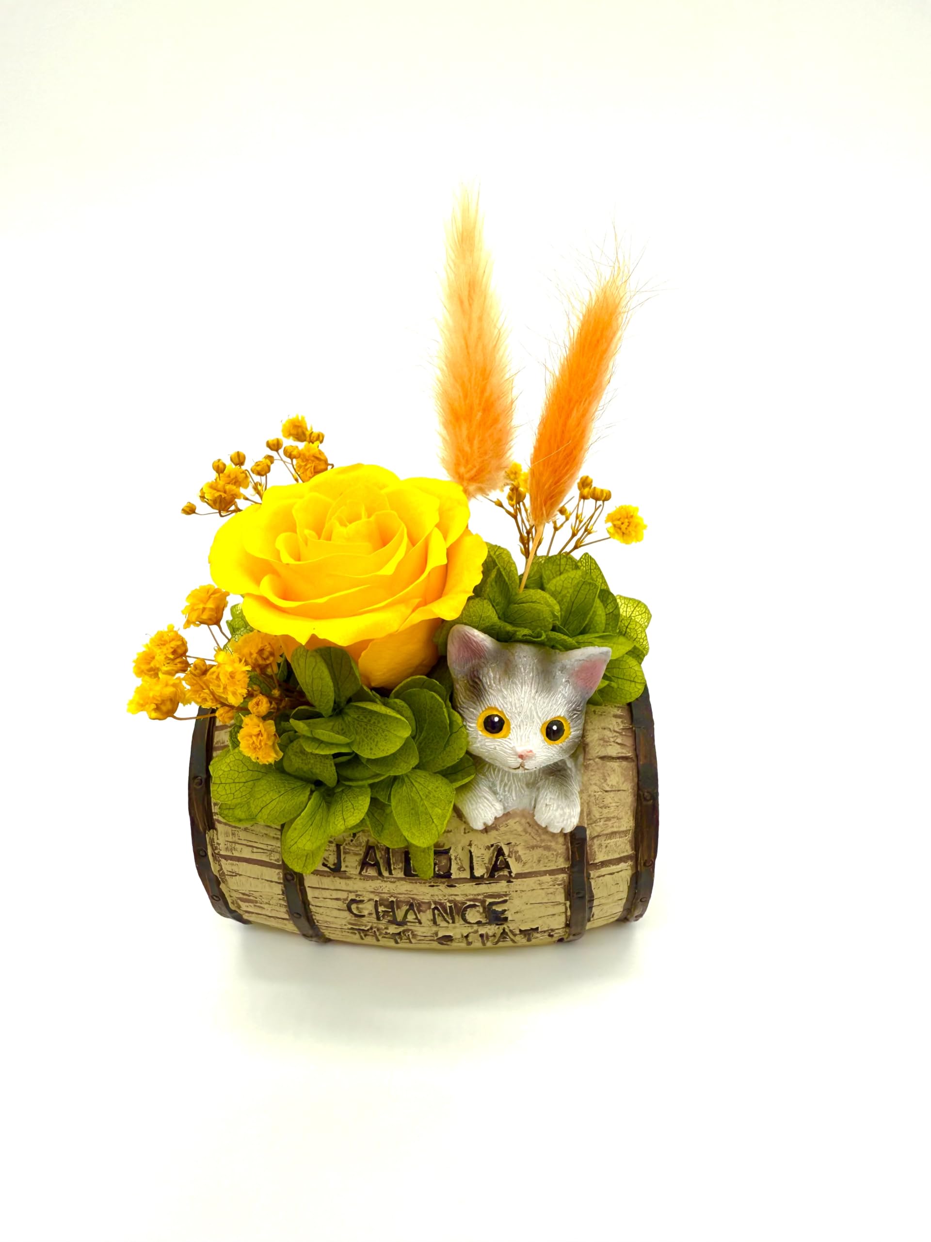 ベビープランター　ネコ　造花アレンジ付き Amazon｜花冠seina プリザーブドフラワー ミニ 猫ちゃん 友膳 ポッド