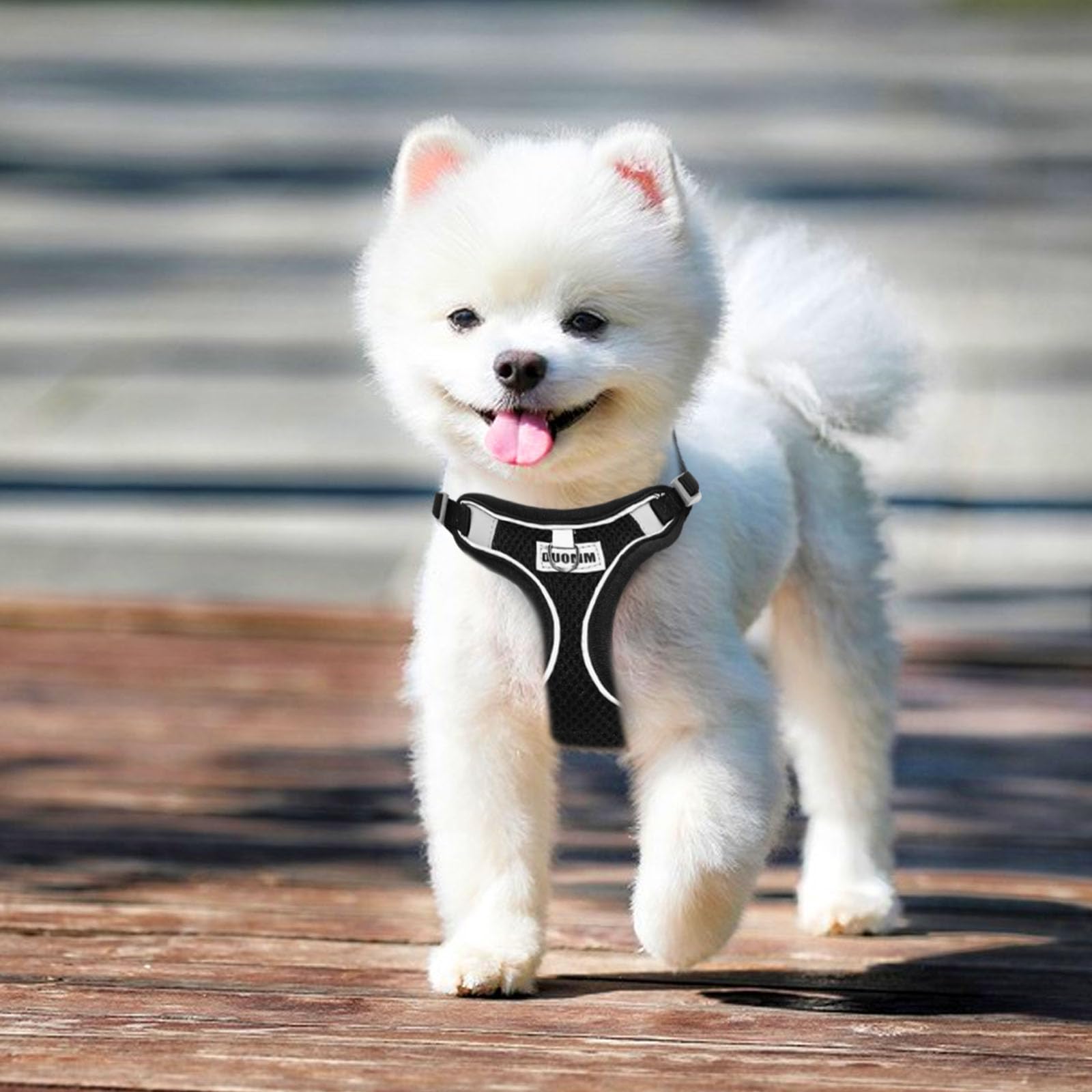 Harnais Chien avec Laisse, Anti Traction pour Petite et Moyenne Taille - Respirant, Lumineux, Réglable - Harnais de Sécurité - Taille S