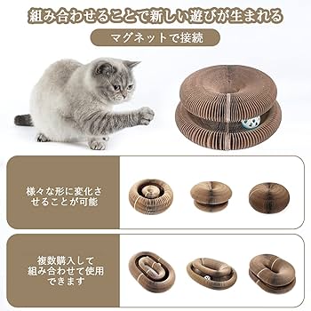 KEN　オテロイ　赤猫　ゴリ猫　超ボールタイプ　コンパクト　9 KEN オテロイ 赤猫 ゴリ猫 超ボールタイプ コンパクト 9 アガベ