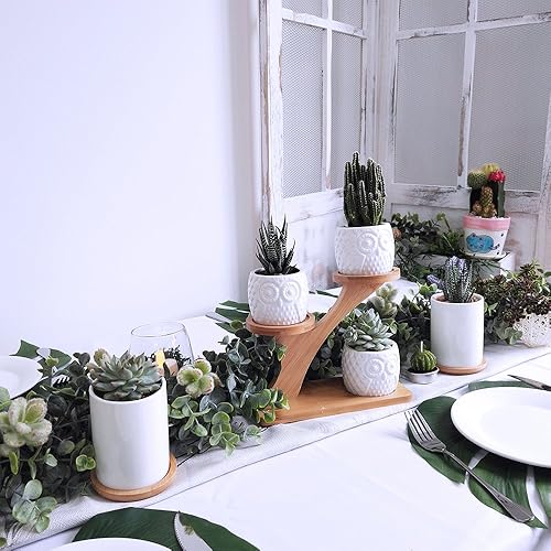 Miniatura 5 de Suculentas, 3 macetas de búho, soporte con 3 niveles de bambú, blanco, moderno, decorativo de cerámica, maceta de flores, maceta con drenaje para el