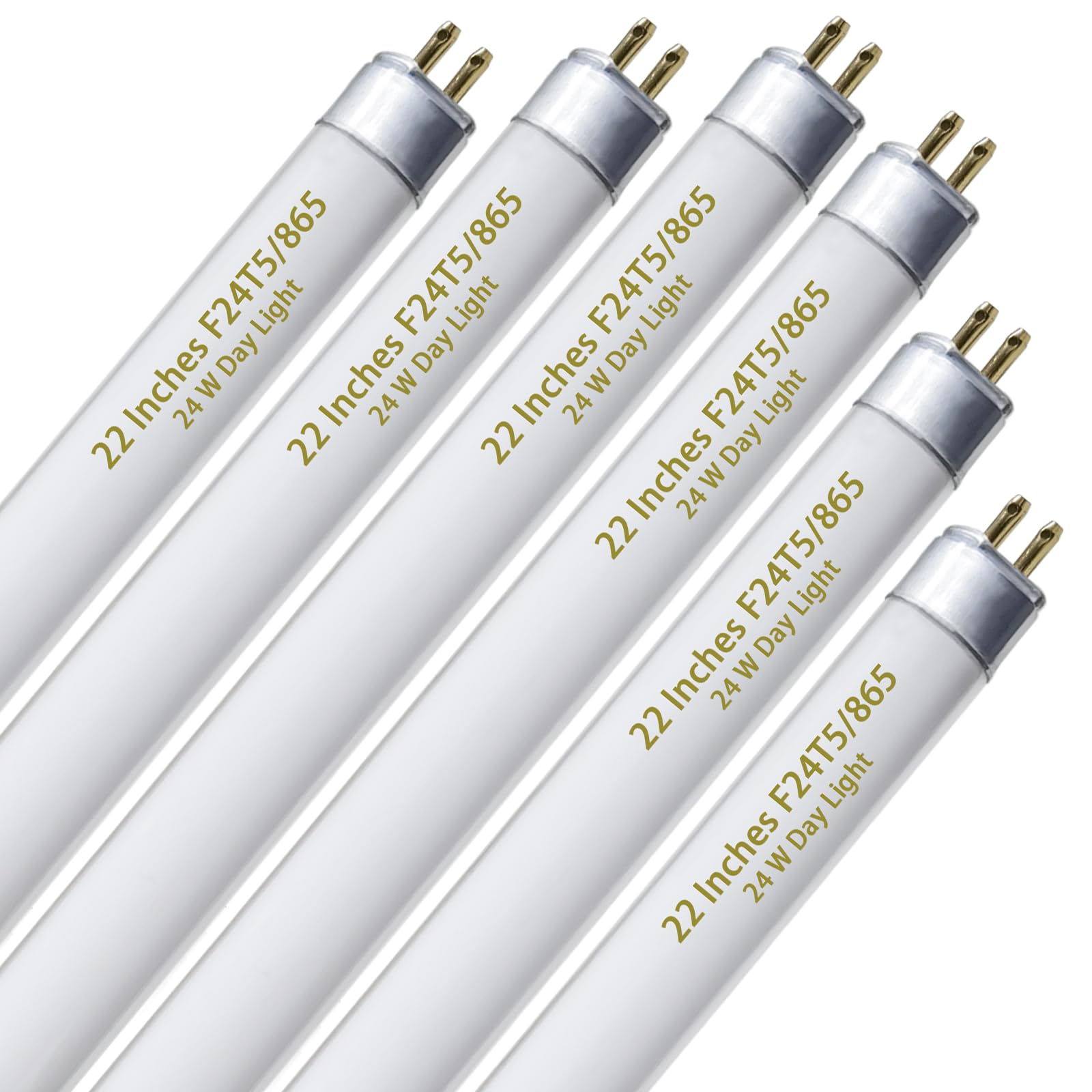 Celiwace 6-Pack