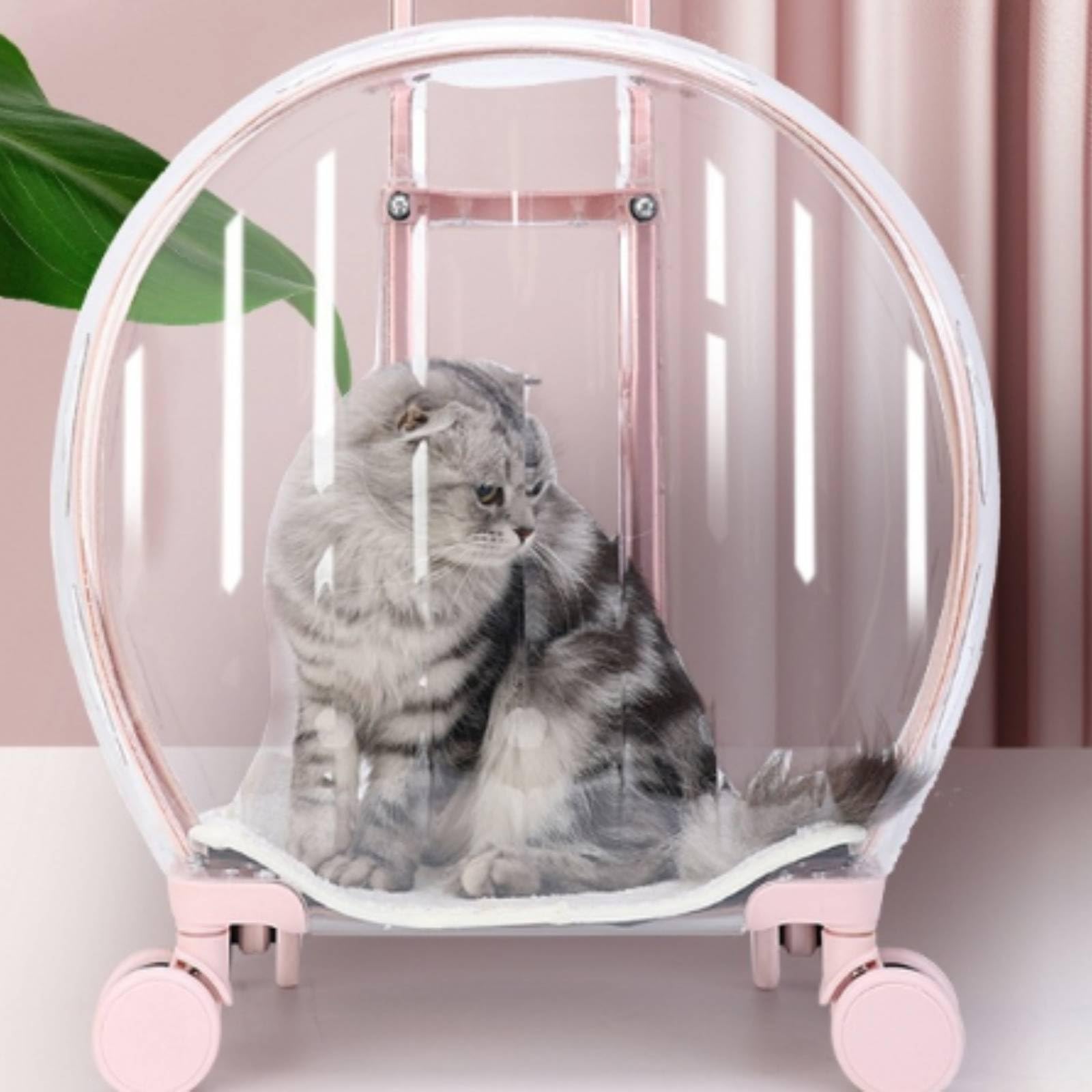 Transportín con Ruedas Rígido Transportín Ventilado para Gatos, Perros Pequeños, Viajes, Verde, Rayas