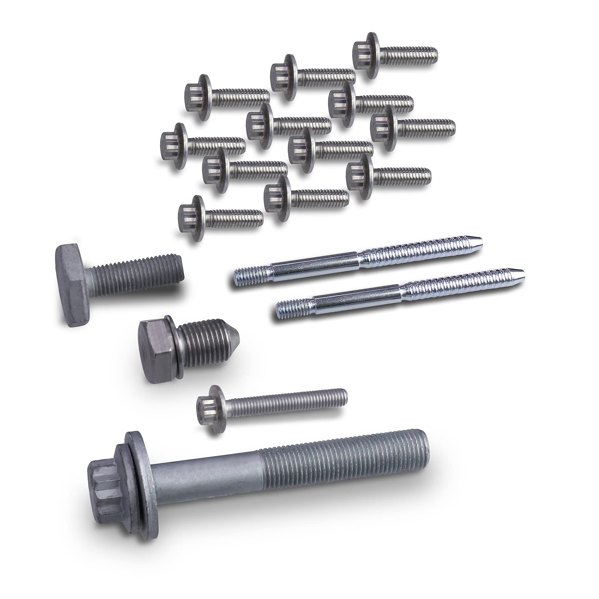 INA 559 0156 30 Kit de cadena de distribución
