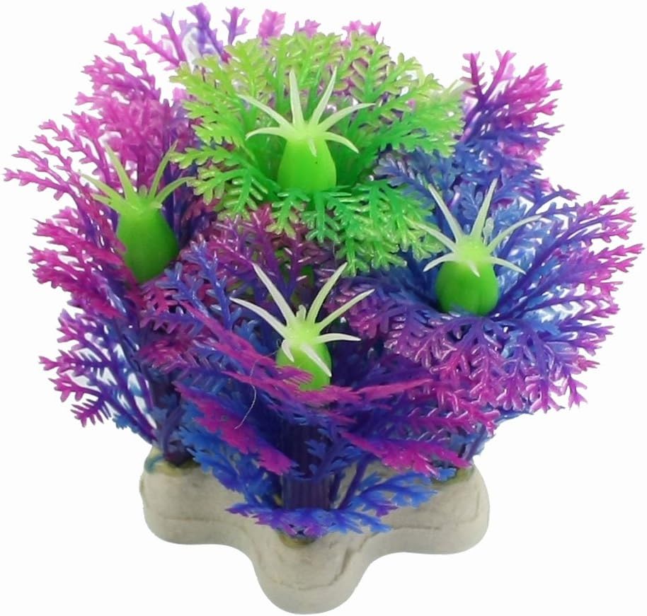 Jardin Plastic Snowflake Design Landscaping Plant for Aquarium, 2.1-Inch, Green/Purple
