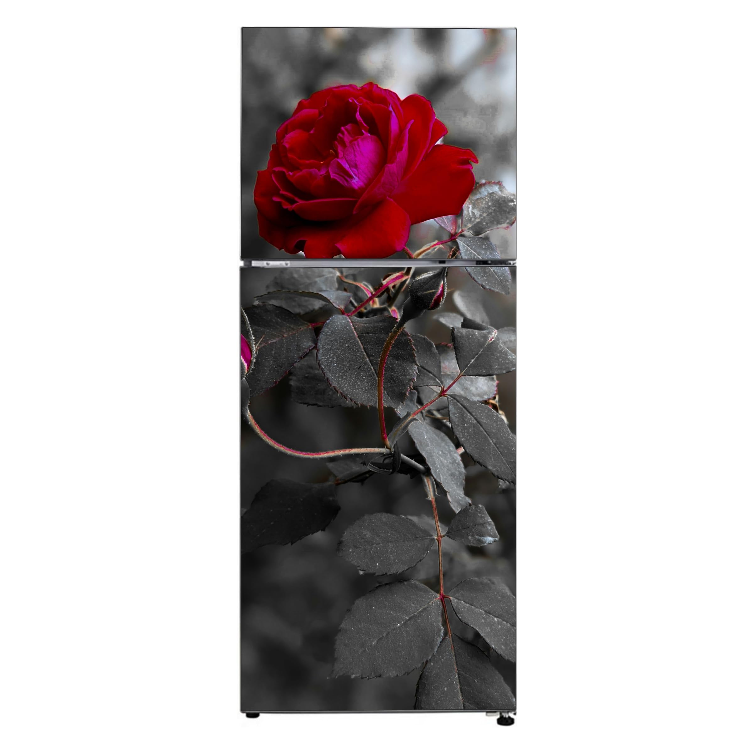 DECOR PLUS DECAL Modern Red Rose Botanical Fridge Door Sticker, Black and White Fridge Door Sticker, Vinyl, 60 x 152 cm, Self-Adhesive, Gloss Finish, Indoor Decor, Rectangular