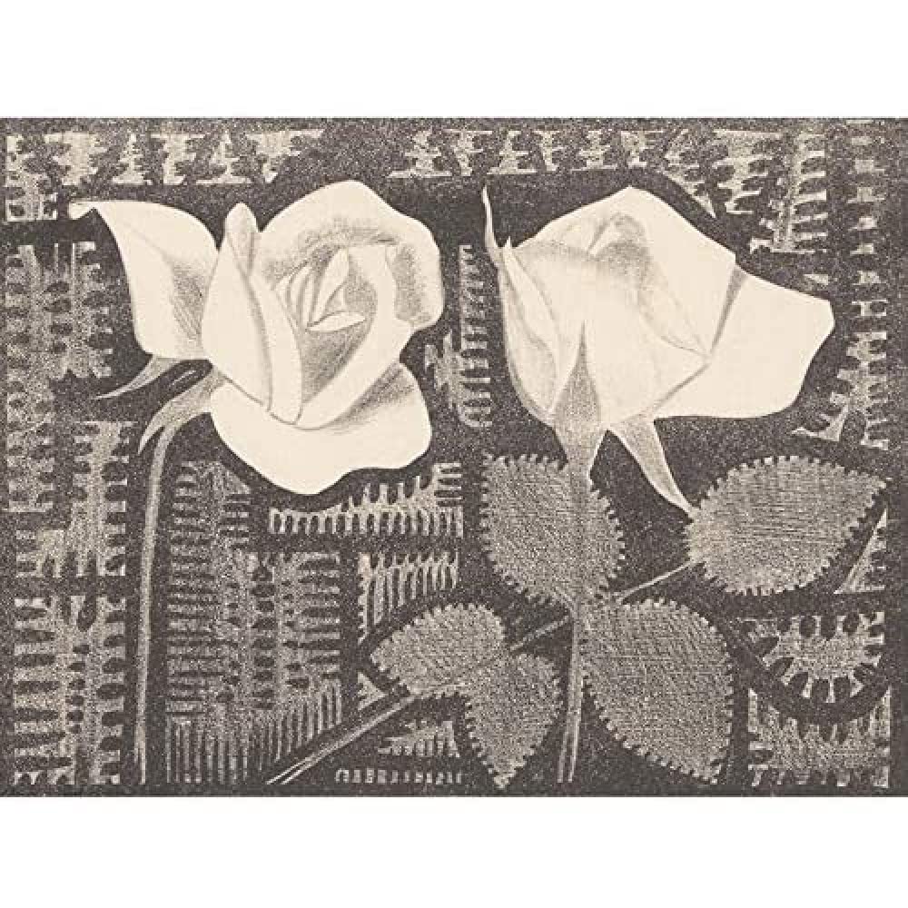 Artery8 Samuel Jessurun De Mesquita Two Roses Still Life Art Print Canvas Premium Wall Decor Poster Mural