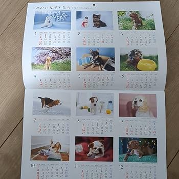 Amazon.co.jp: カレンダー 2023 2点セット 住友生命 卓上