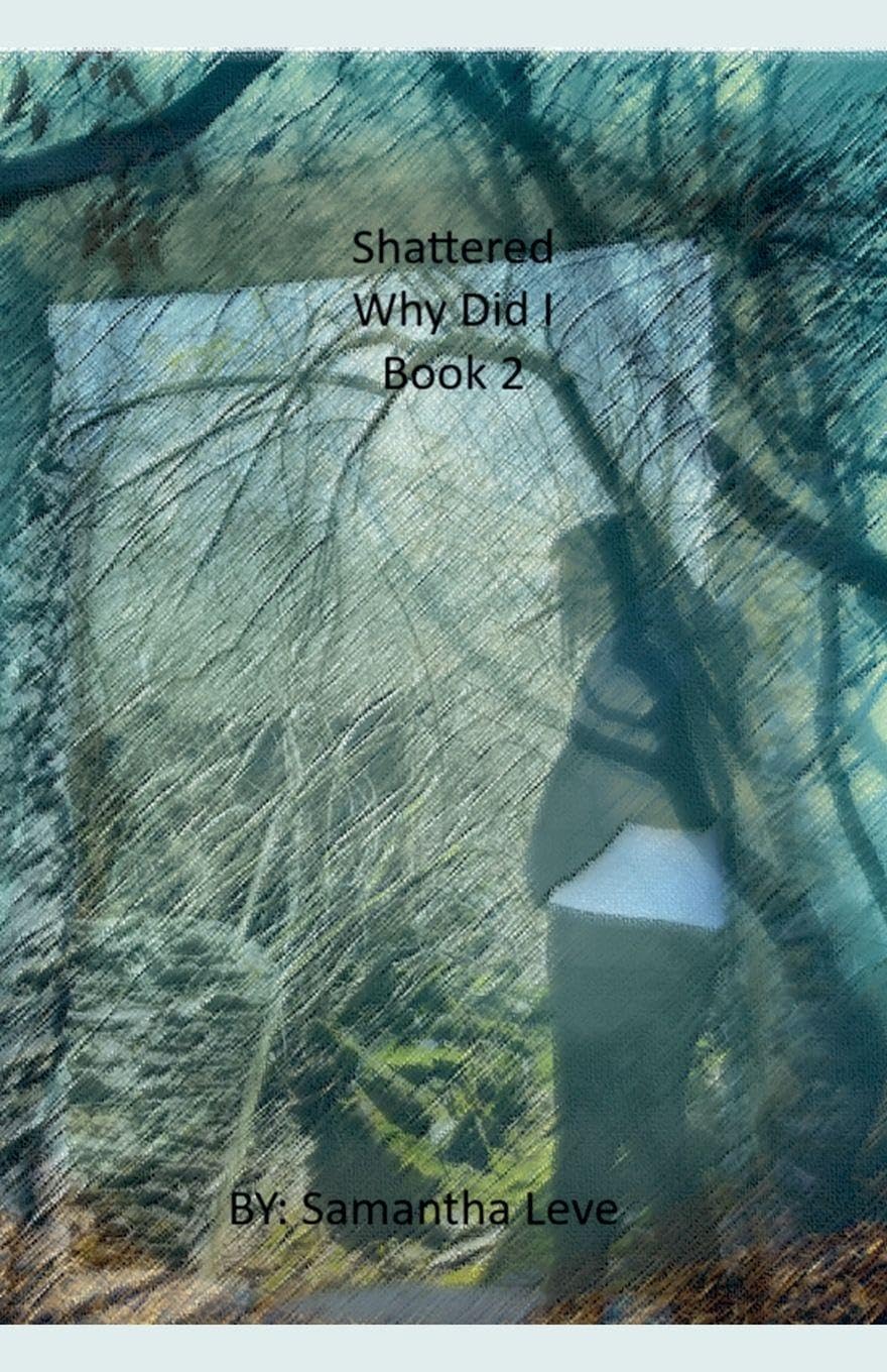 Why Did I: 2 (Shattered)