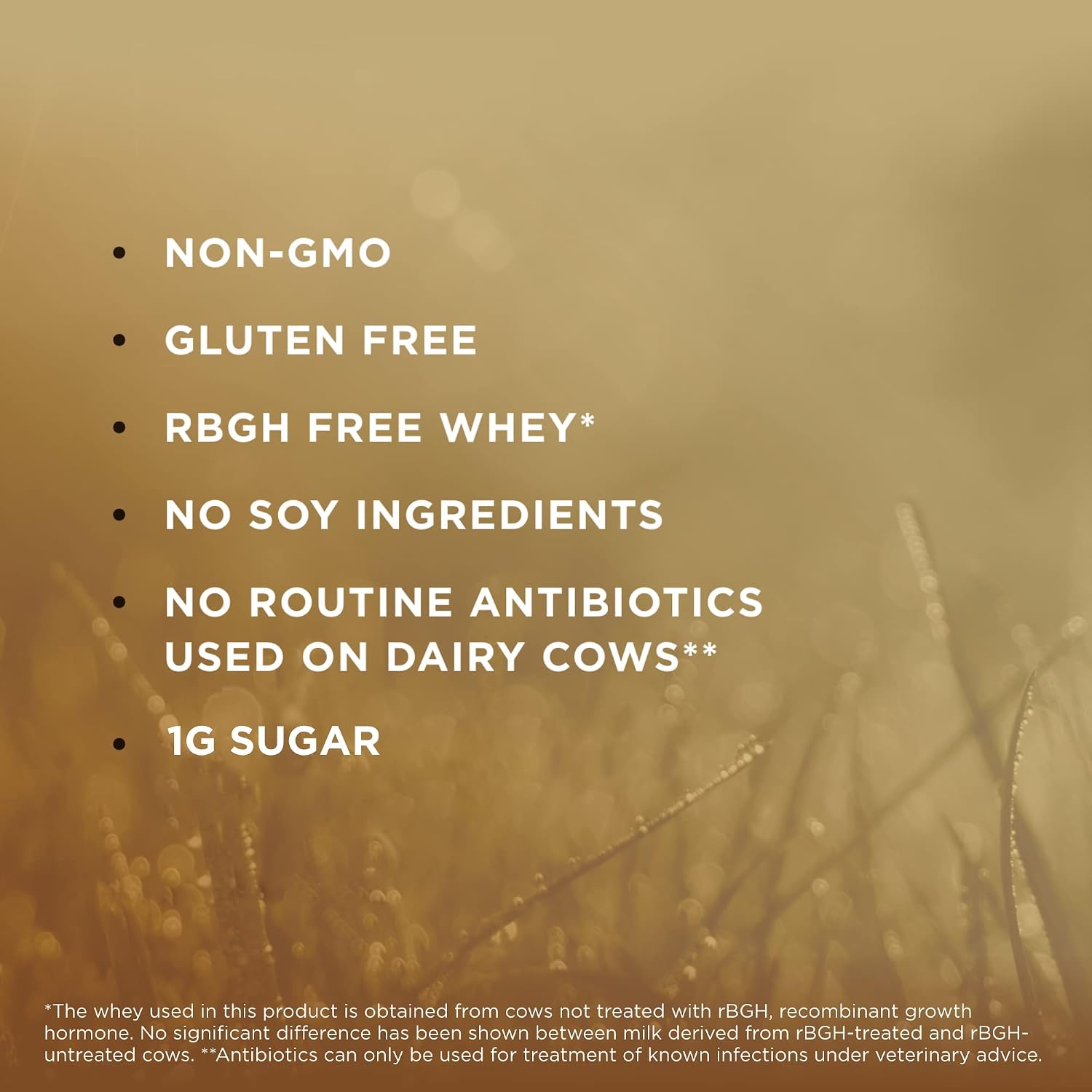 Solgar - Whey To Go - Whey Protein Powder